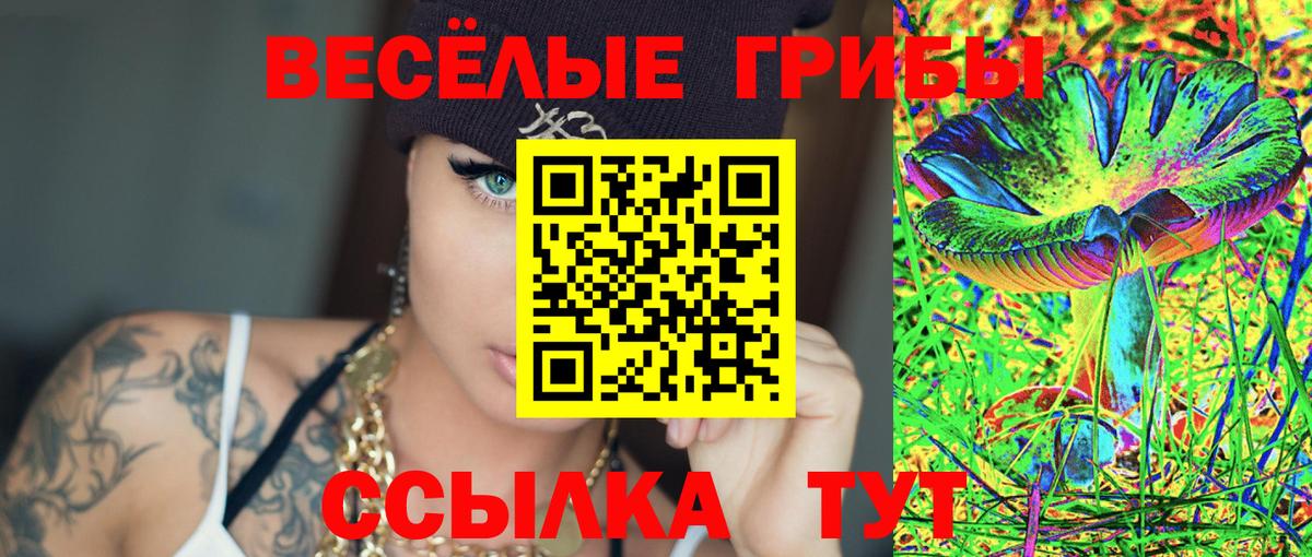 Псилоцибиновые грибы GOLDEN TEACHER Новочеркасск