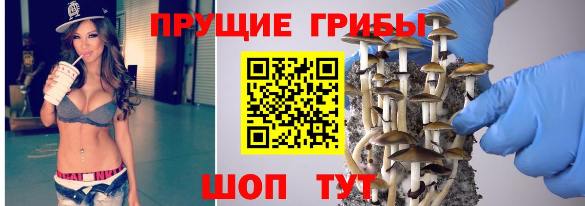 Новочеркасск  Псилоцибиновые грибы MAGIC MUSHROOMS  Вход с VPN 